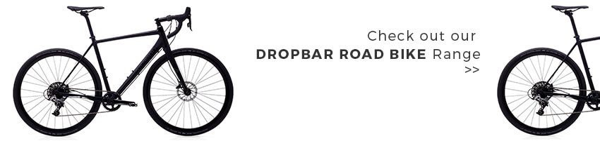 Dropbar Road Bike